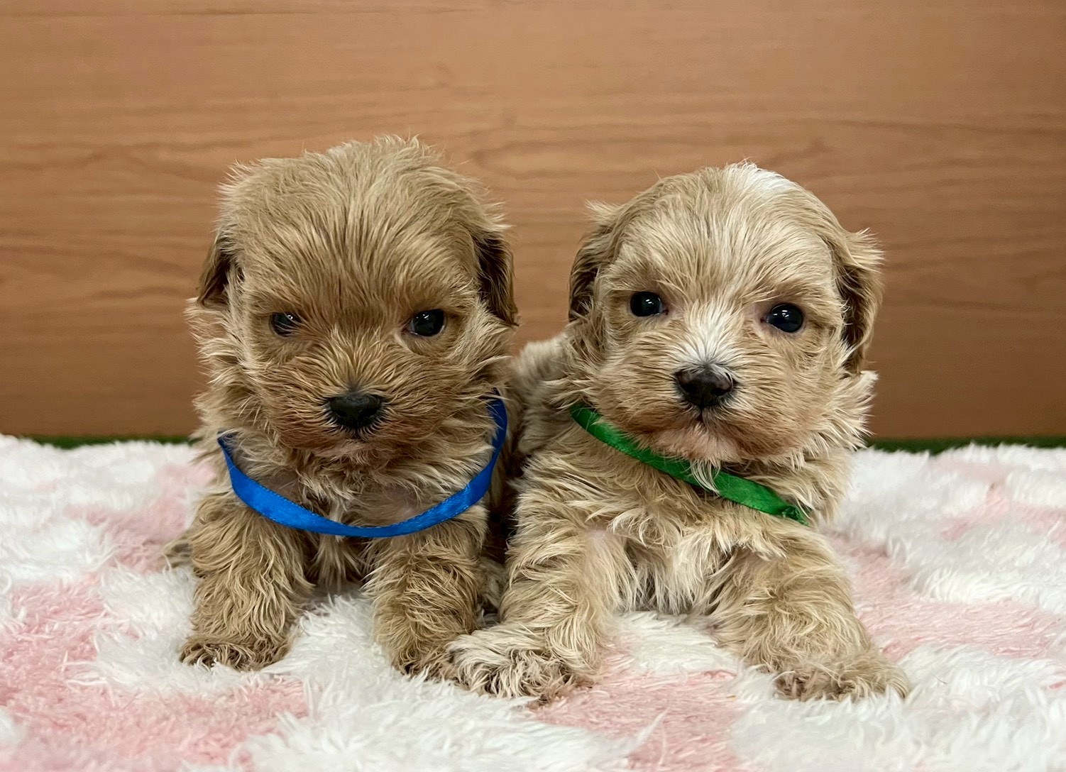 赤ちゃん写真2-3