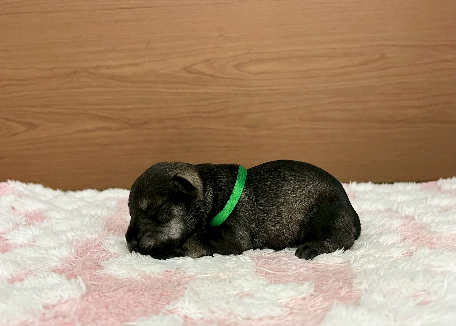 赤ちゃん写真1-2