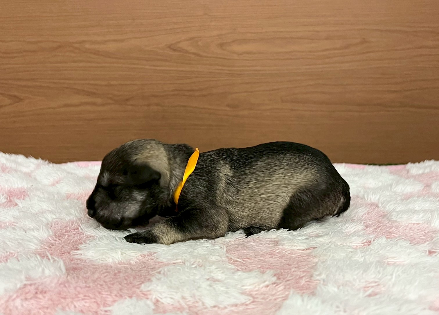 赤ちゃん写真1-2