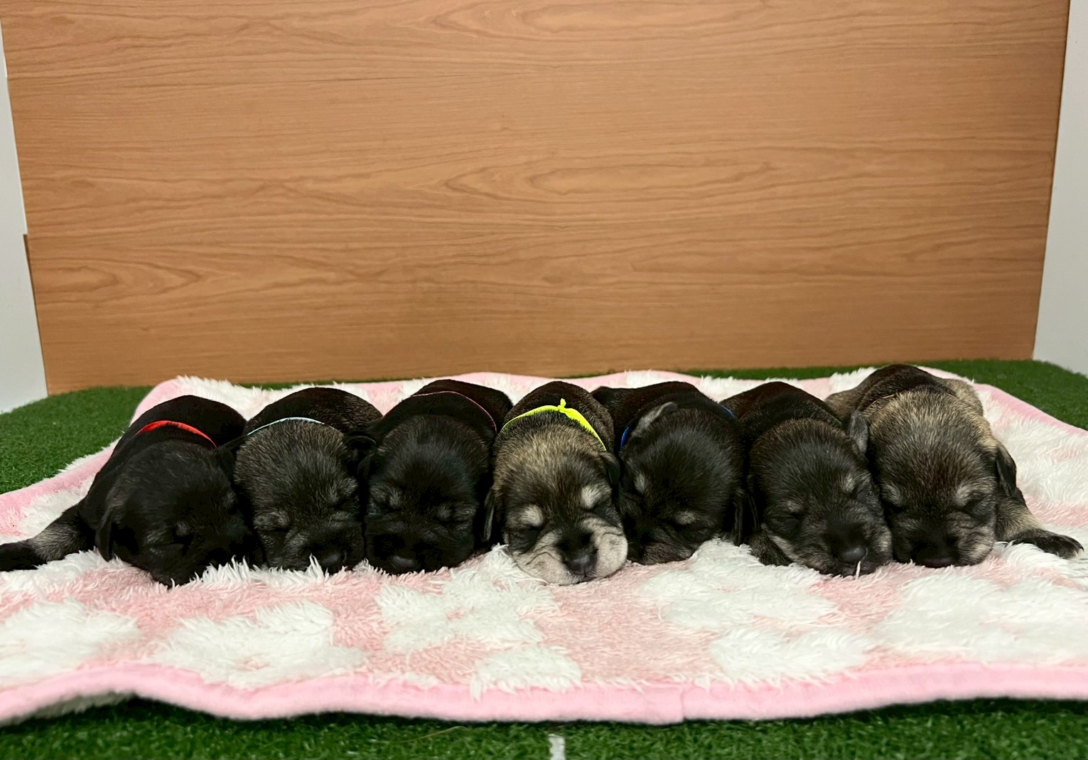 赤ちゃん写真1-3