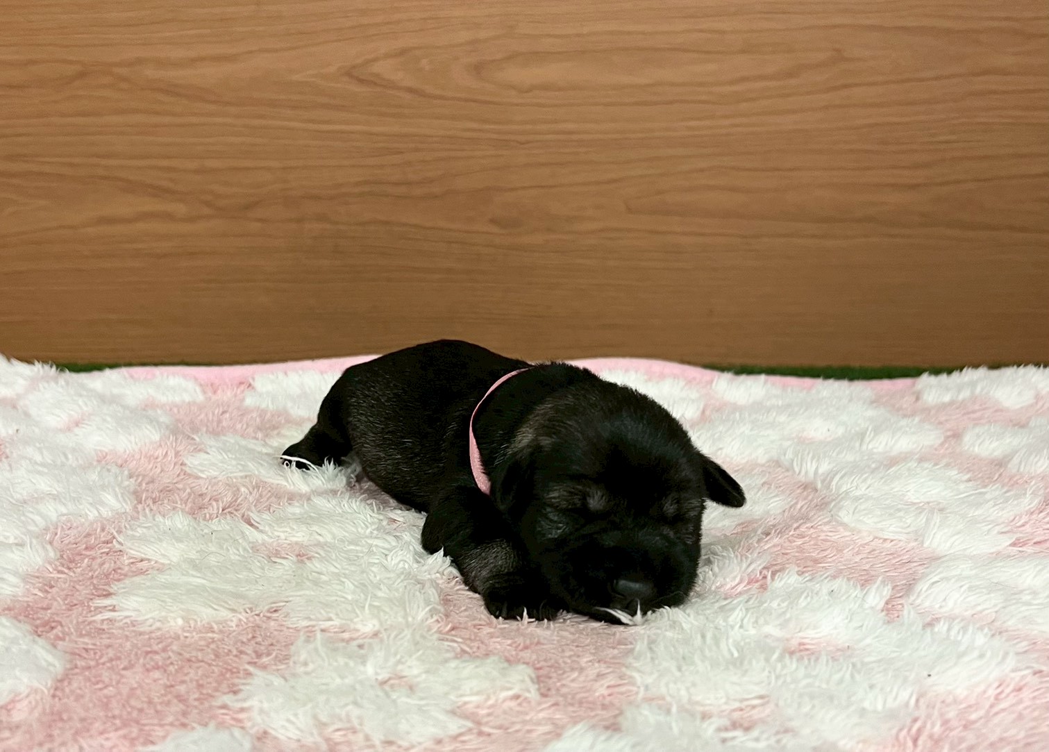 赤ちゃん写真1-1