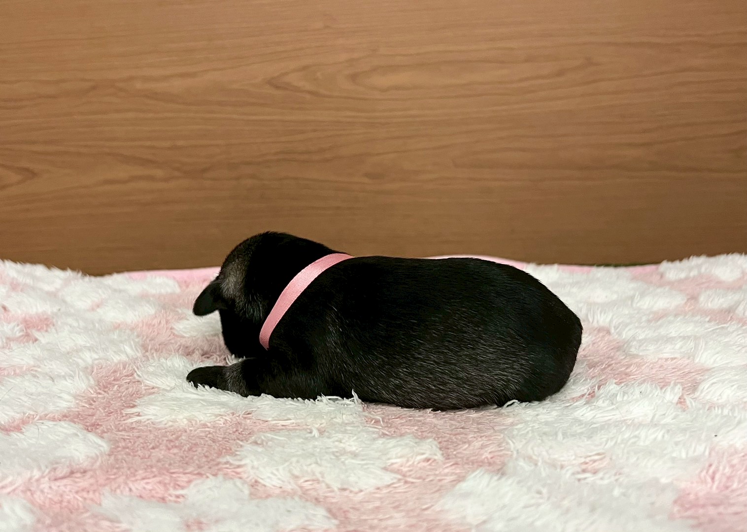 赤ちゃん写真1-2