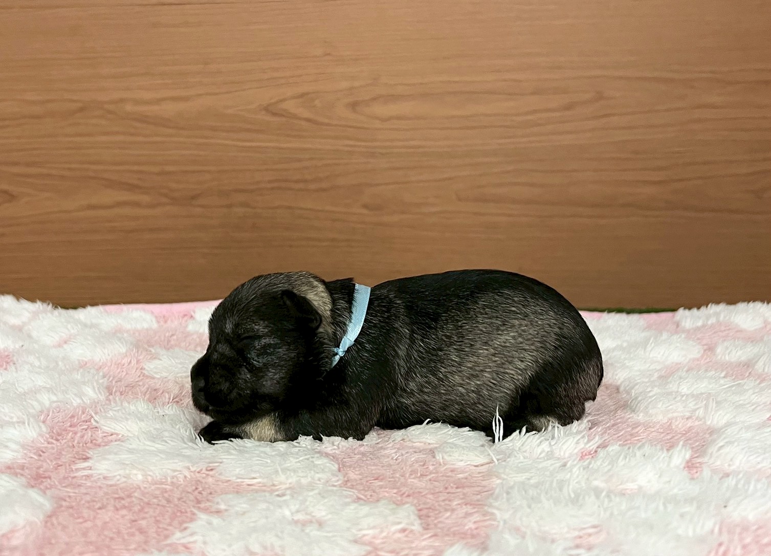 赤ちゃん写真1-2