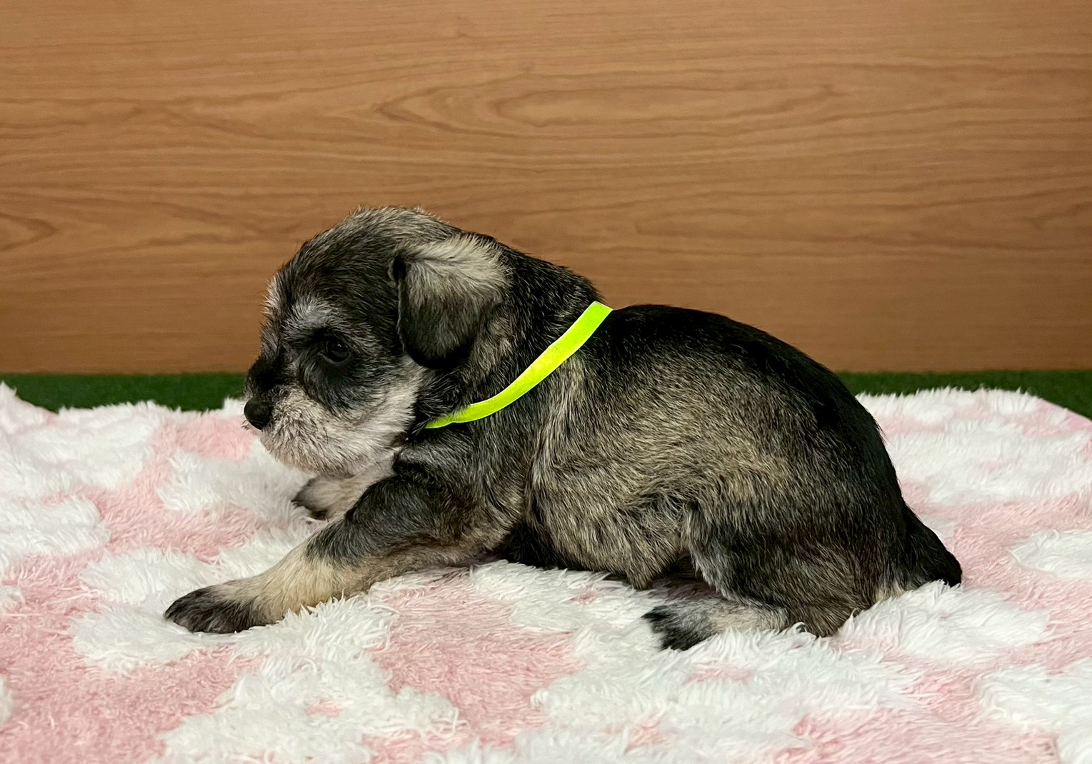 赤ちゃん写真2-2