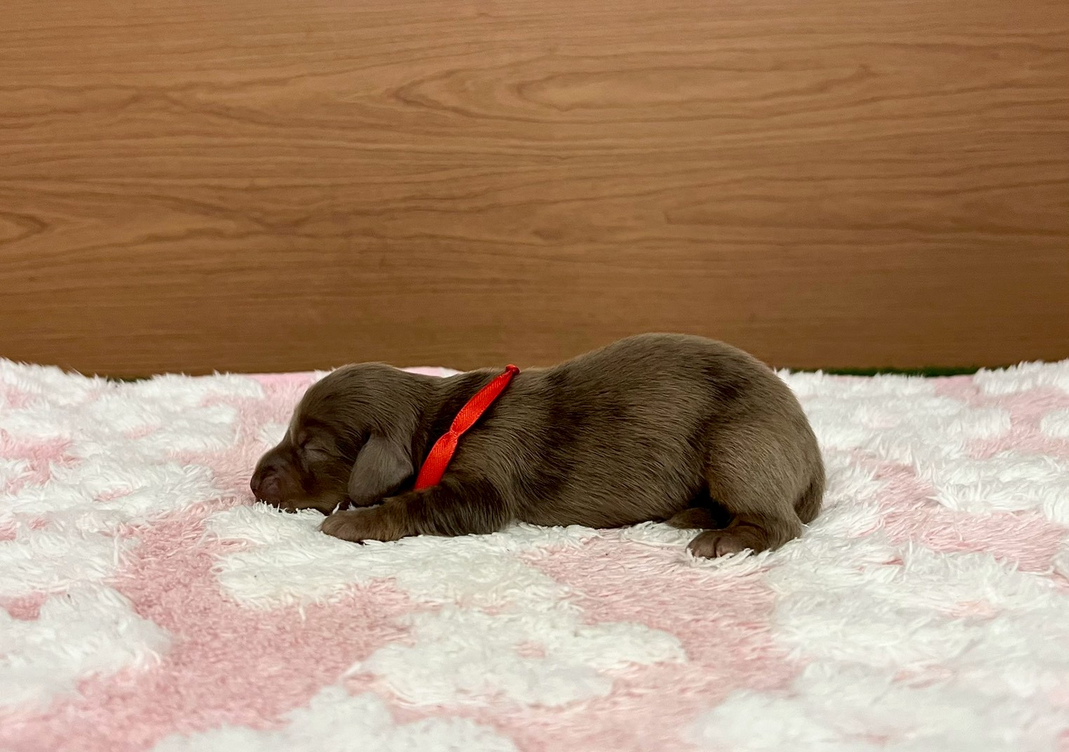 赤ちゃん写真1-2