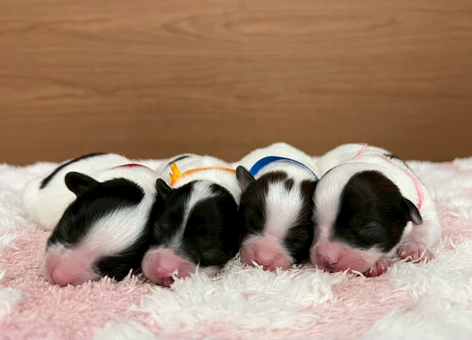 赤ちゃん写真1-3