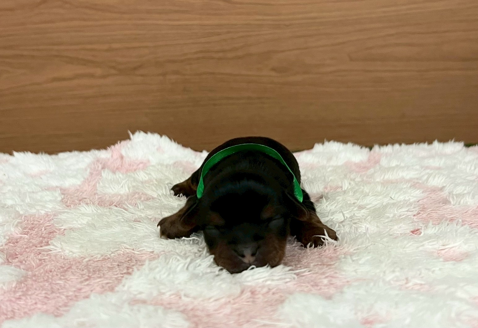 赤ちゃん写真1-1