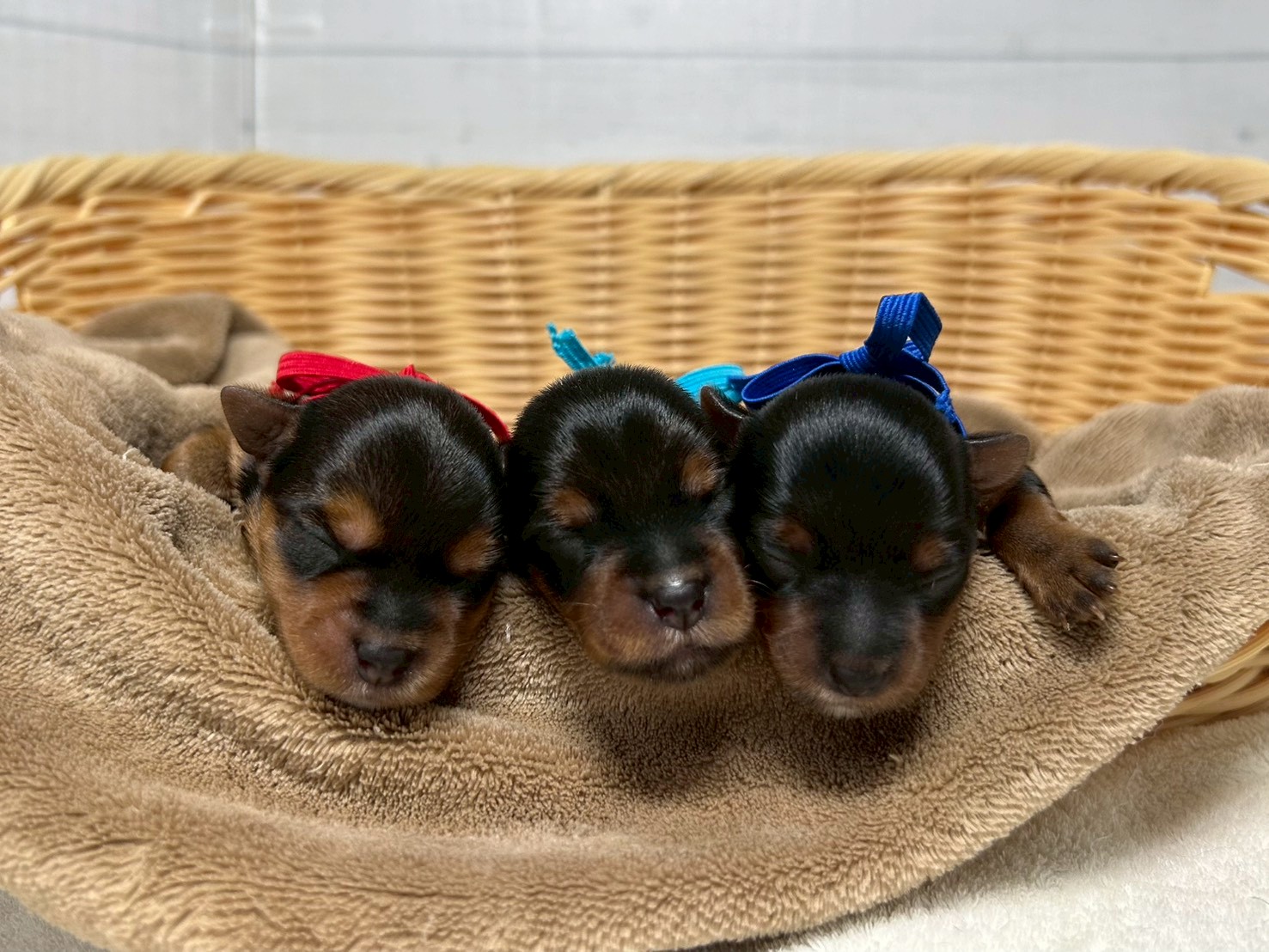 赤ちゃん写真1-3