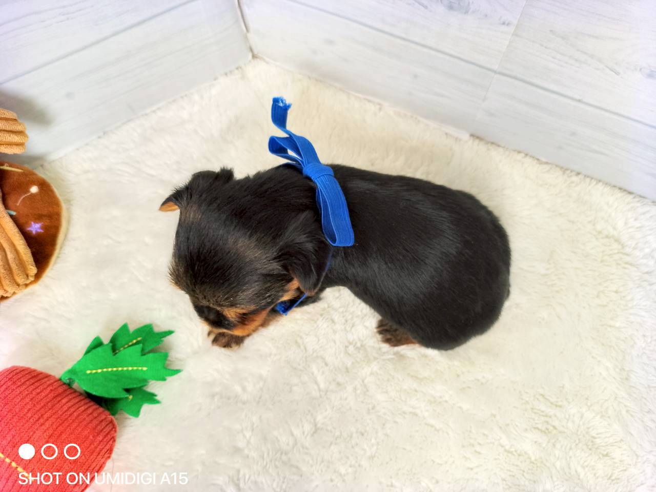 赤ちゃん写真2-3