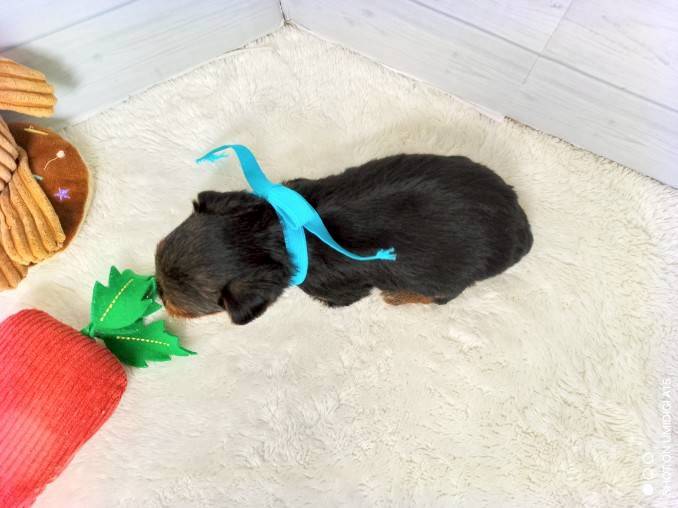 赤ちゃん写真2-3