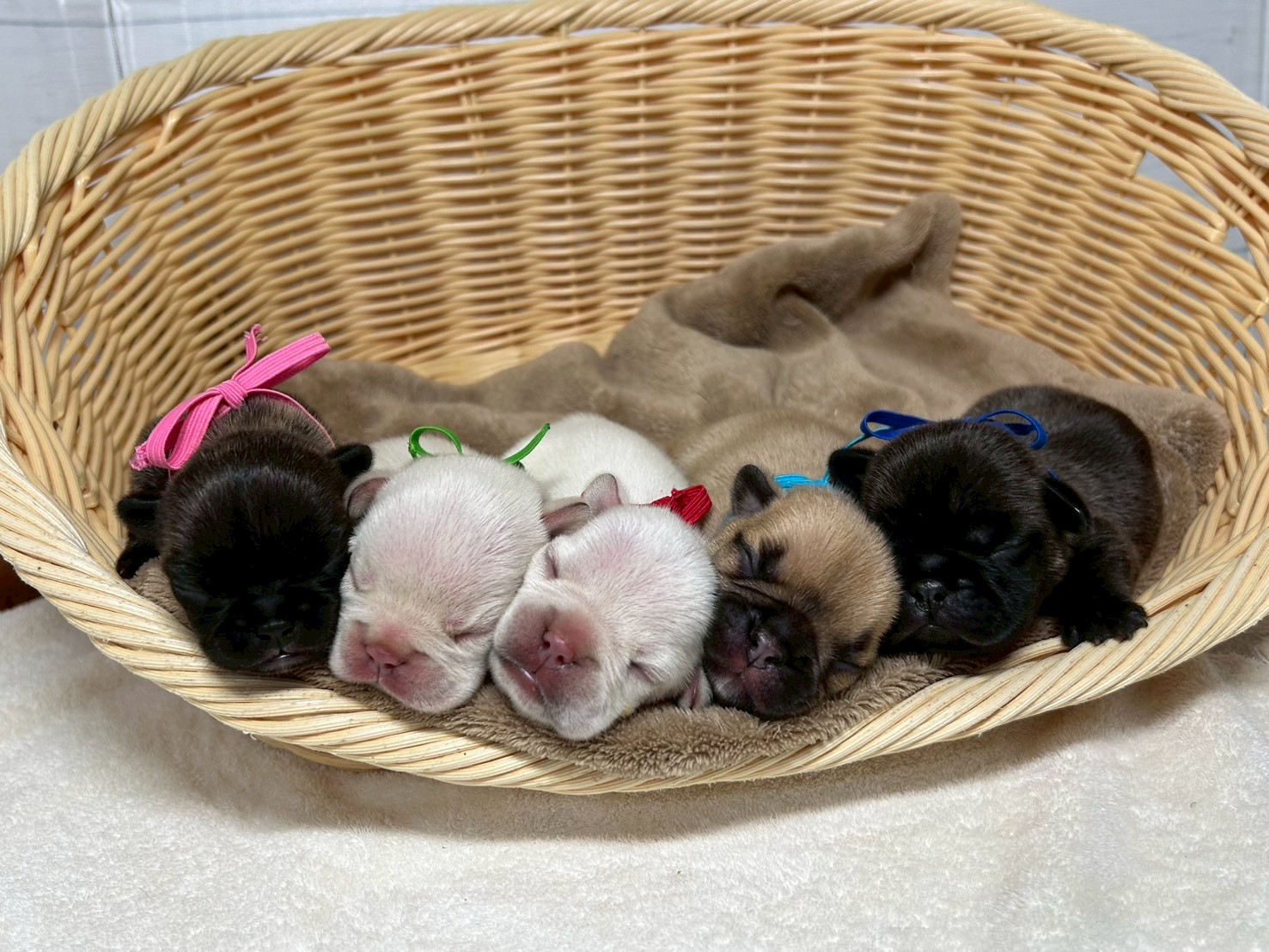 赤ちゃん写真1-3