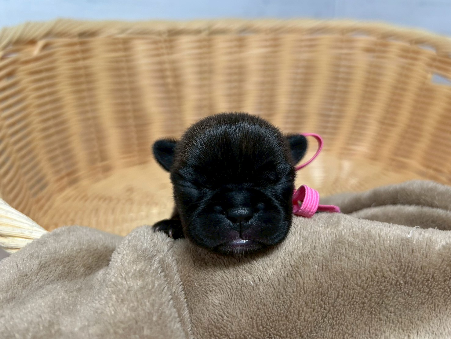 赤ちゃん写真1-1