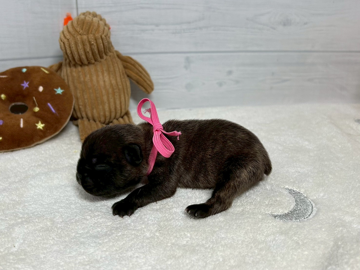 赤ちゃん写真1-2