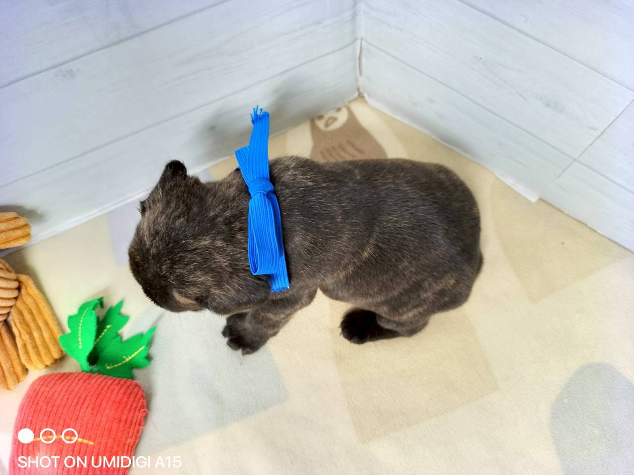 赤ちゃん写真2-3