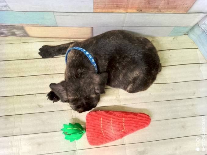 赤ちゃん写真3-3