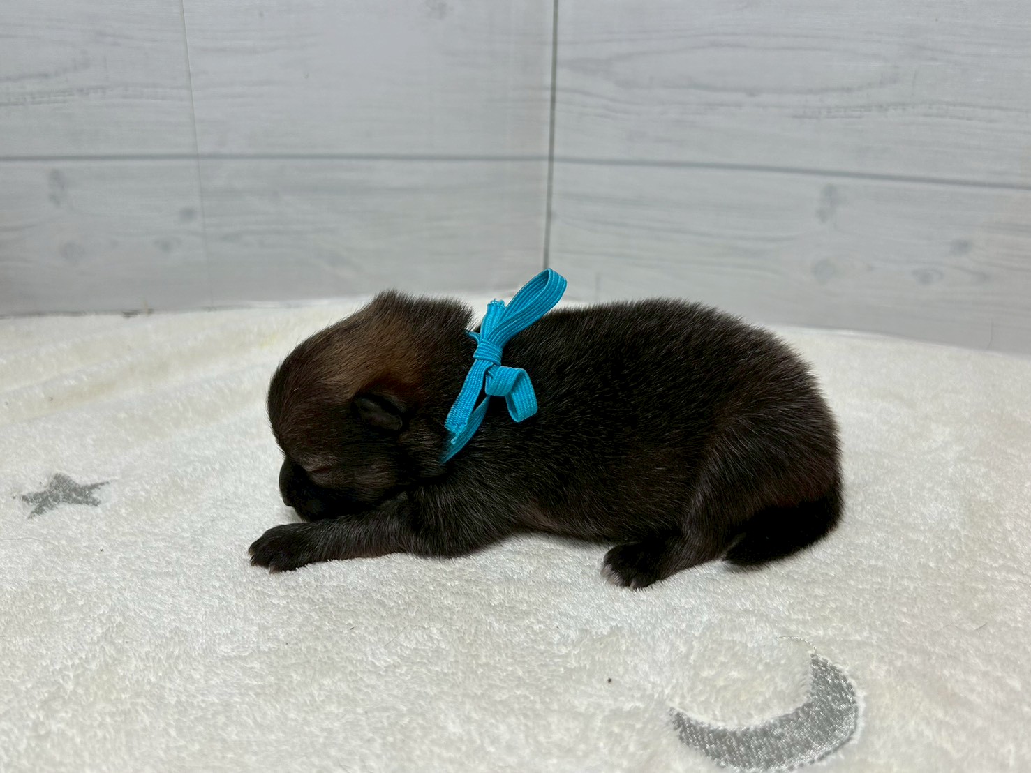 赤ちゃん写真1-2