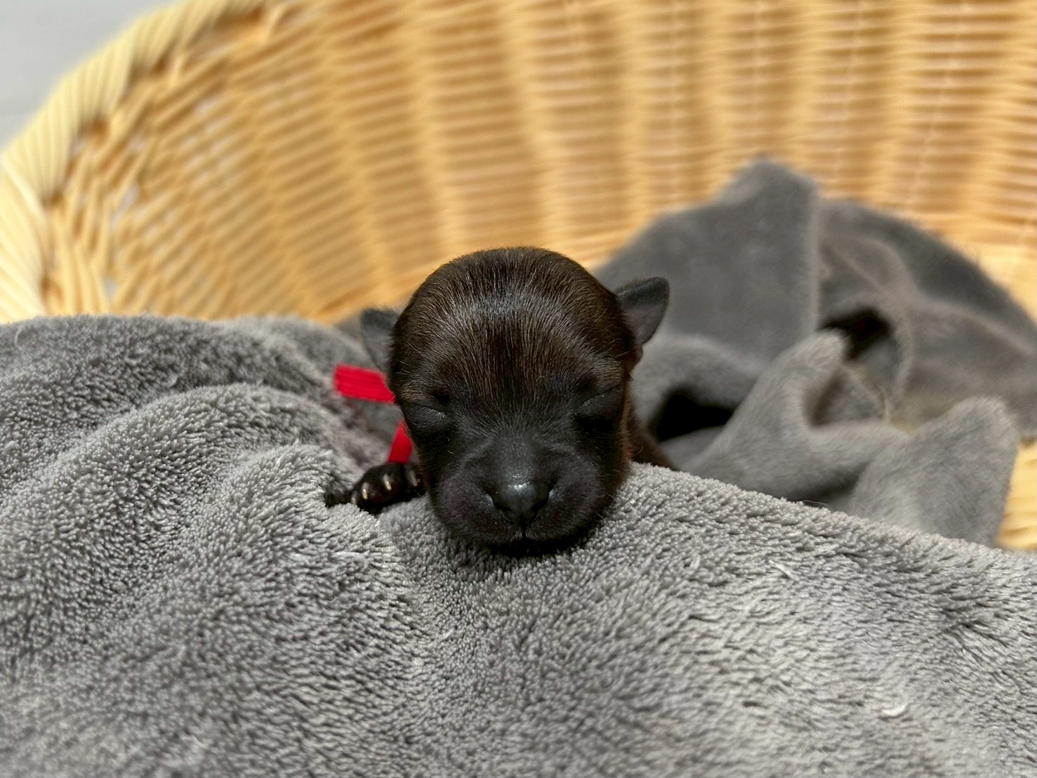 赤ちゃん写真1-1