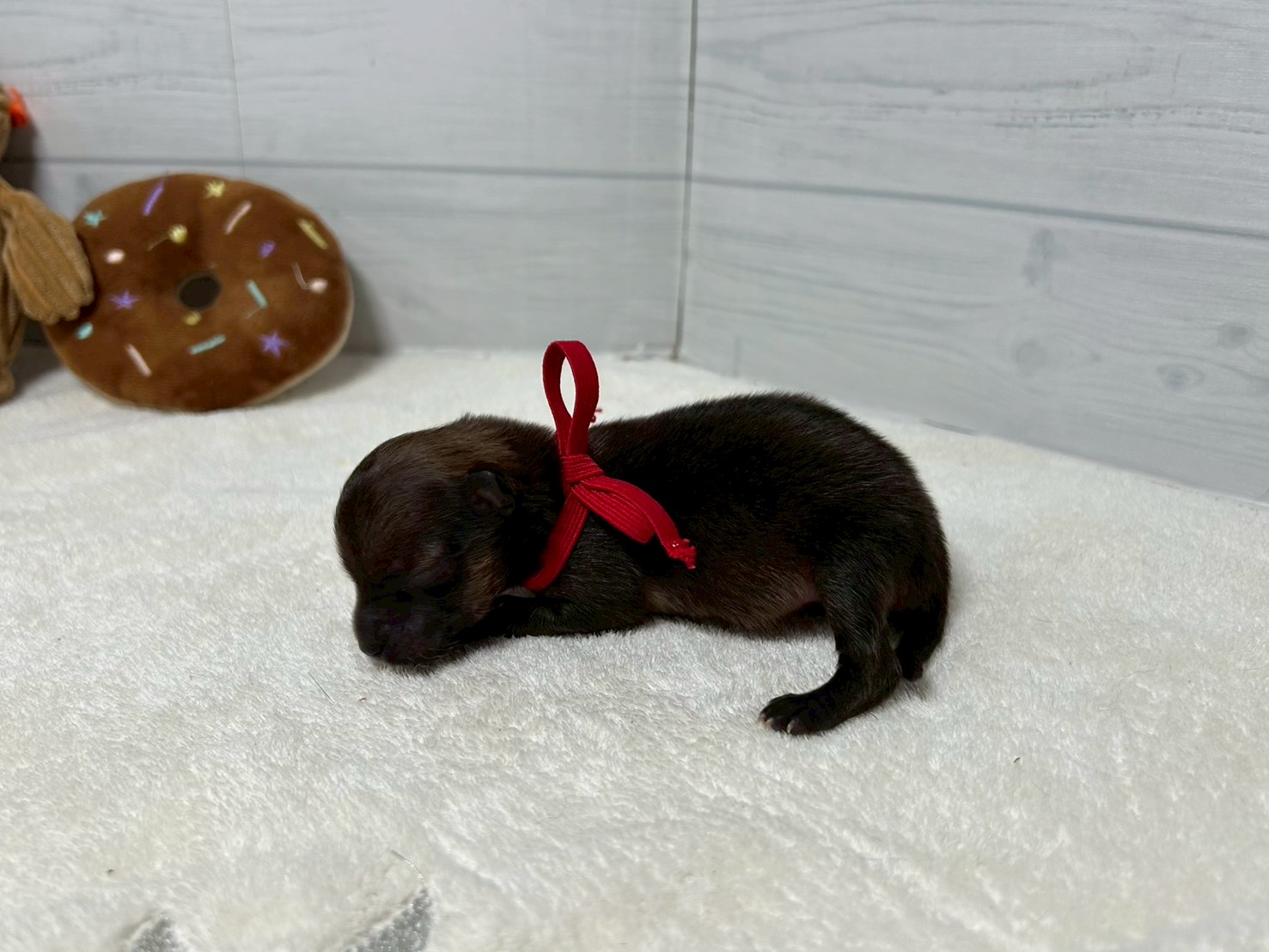 赤ちゃん写真1-2
