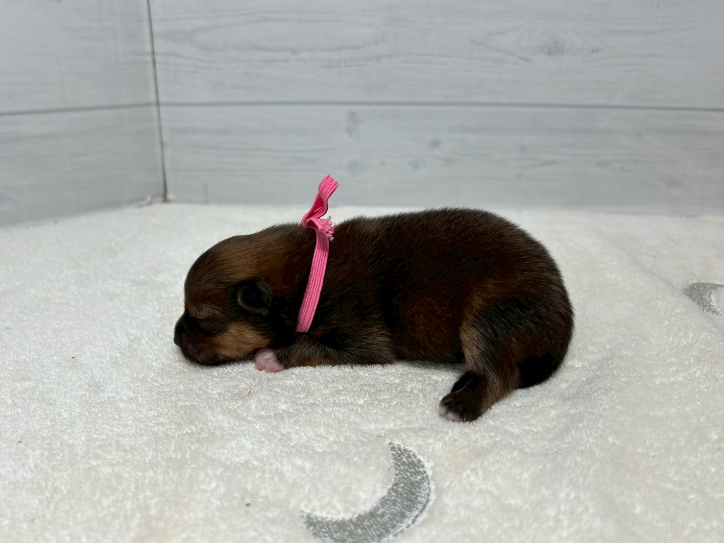 赤ちゃん写真1-2
