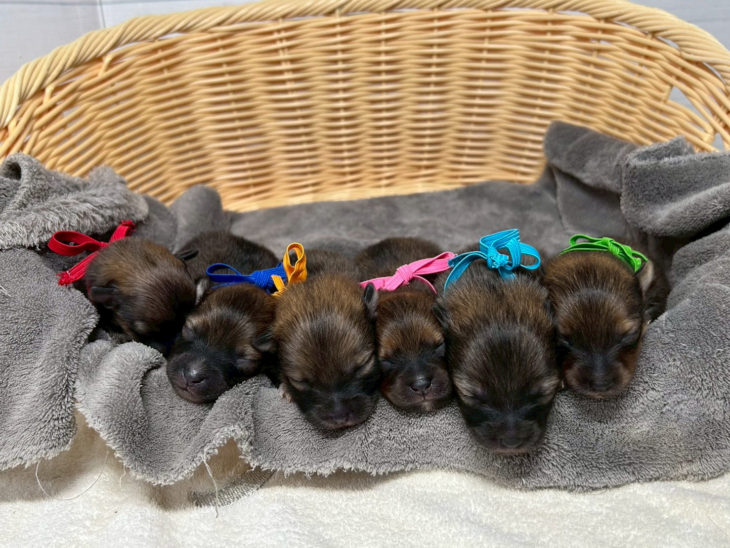 赤ちゃん写真1-3