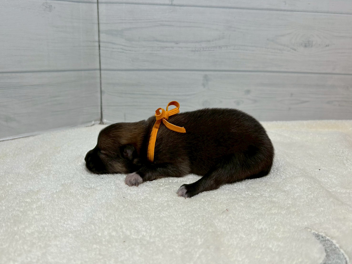 赤ちゃん写真1-2