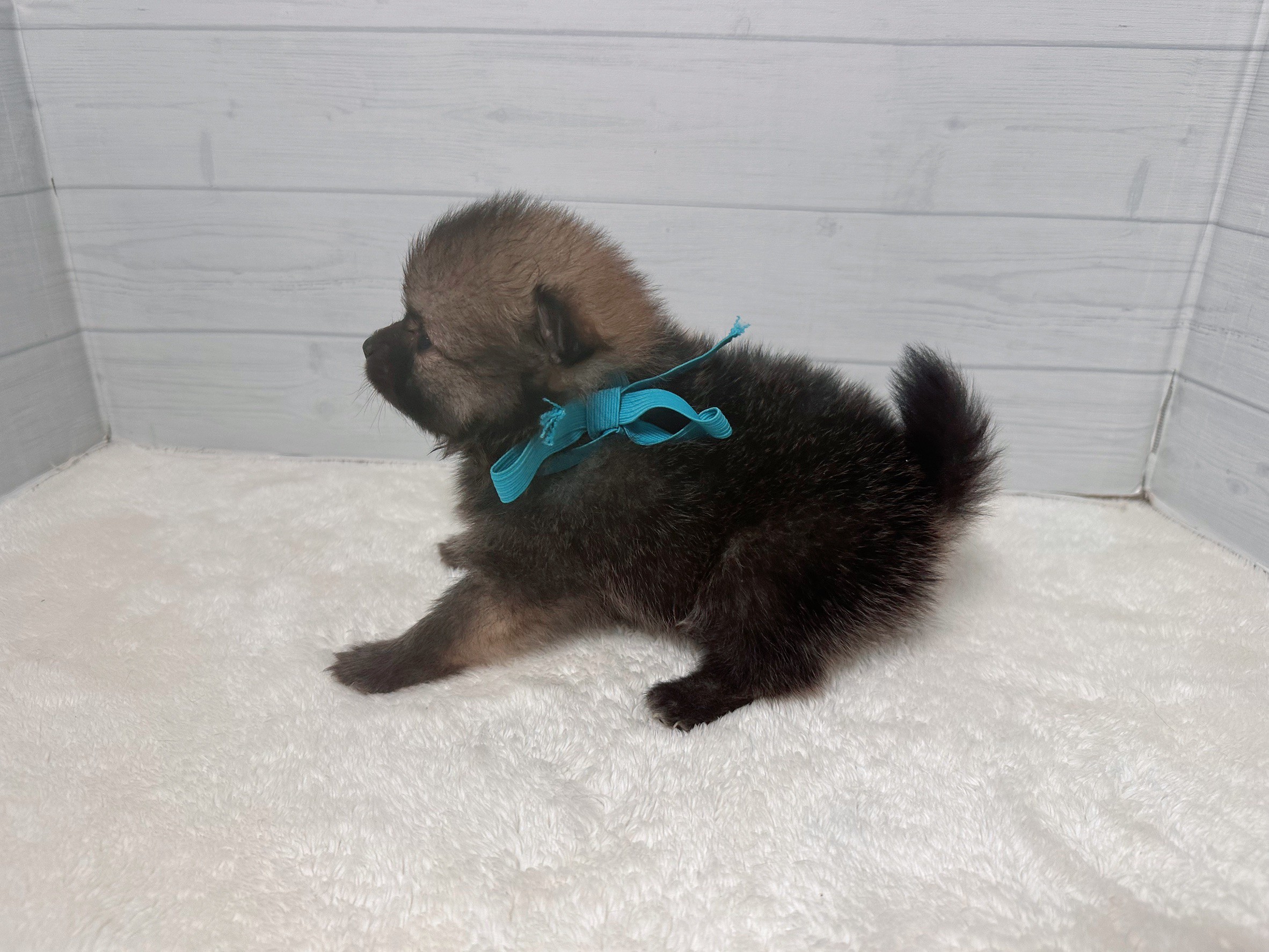 赤ちゃん写真2-2