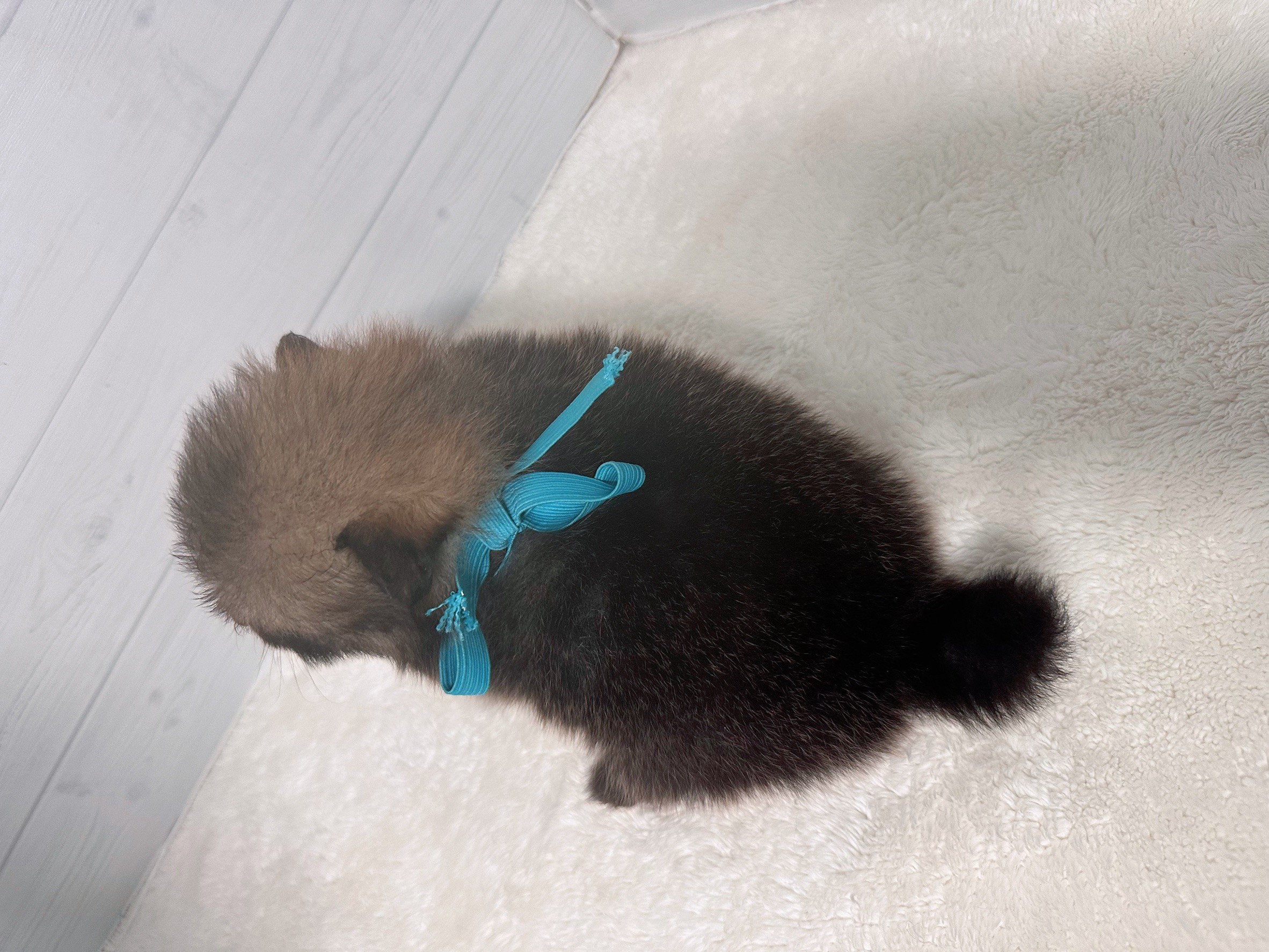 赤ちゃん写真2-3