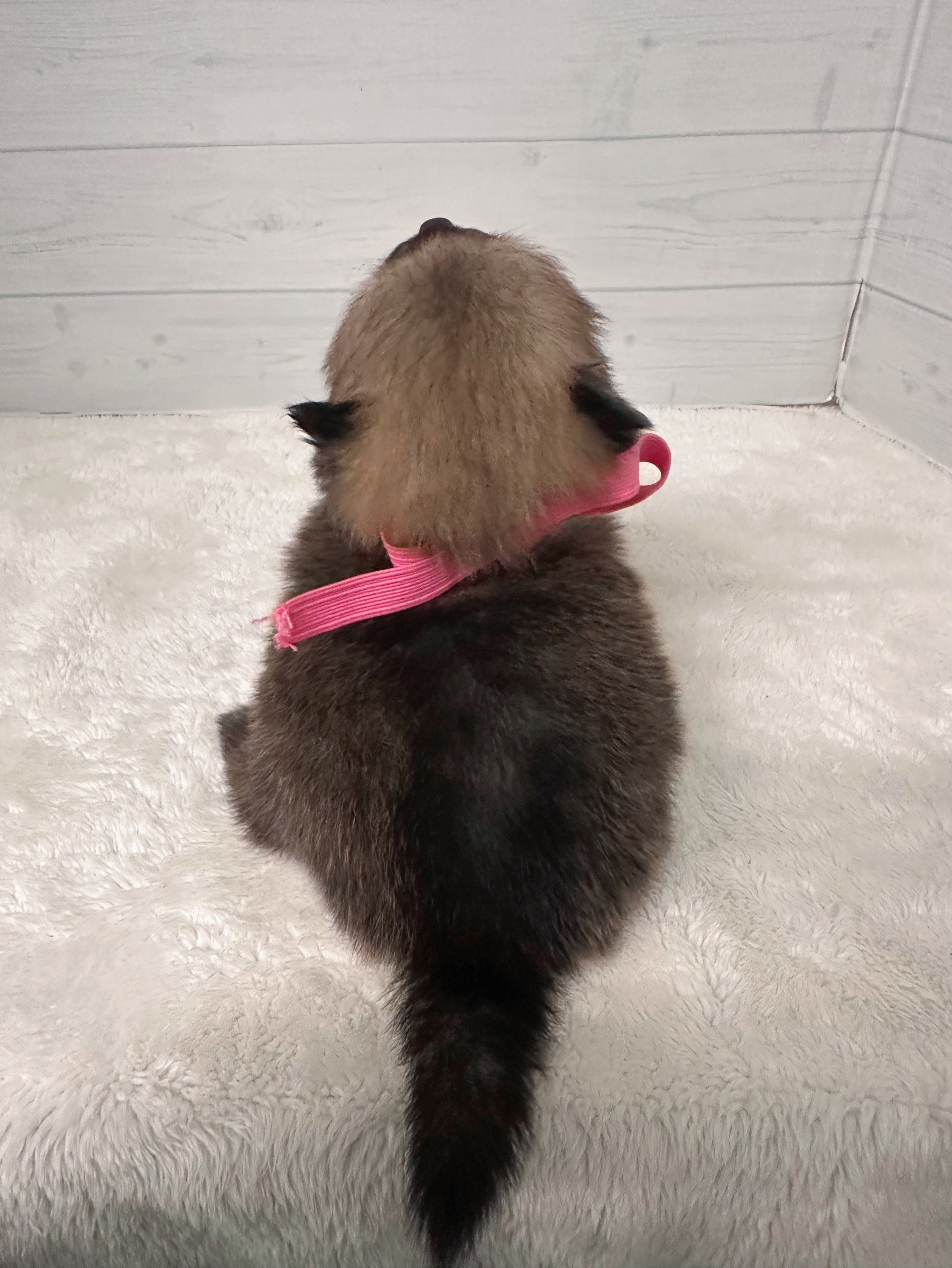 赤ちゃん写真2-3