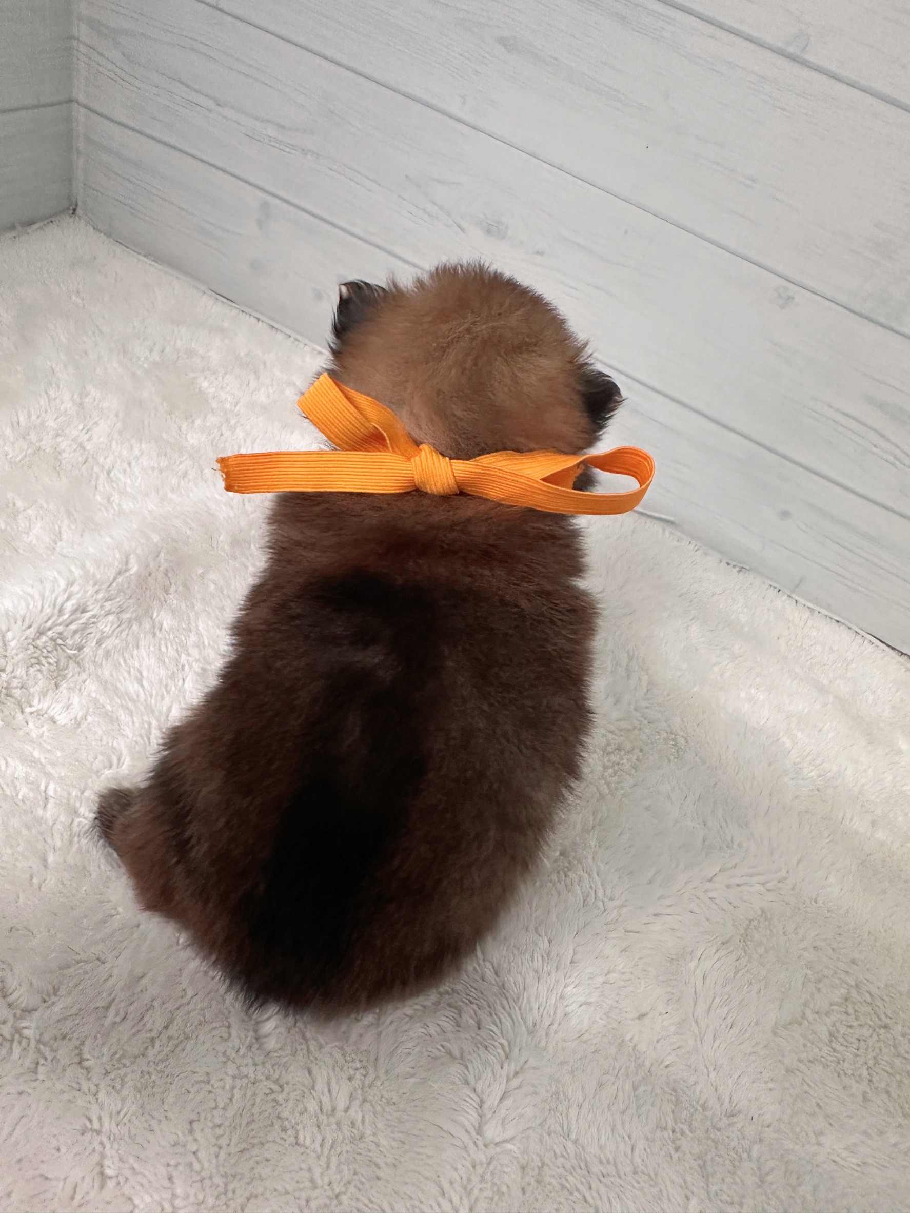 赤ちゃん写真2-3