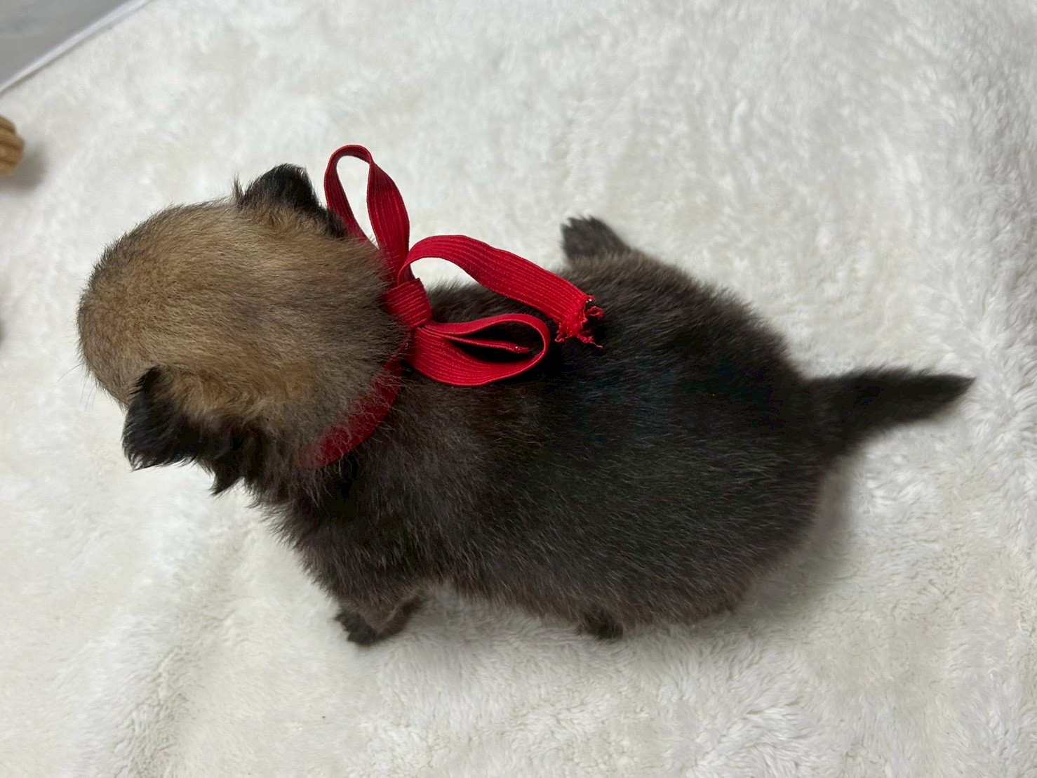 赤ちゃん写真2-3