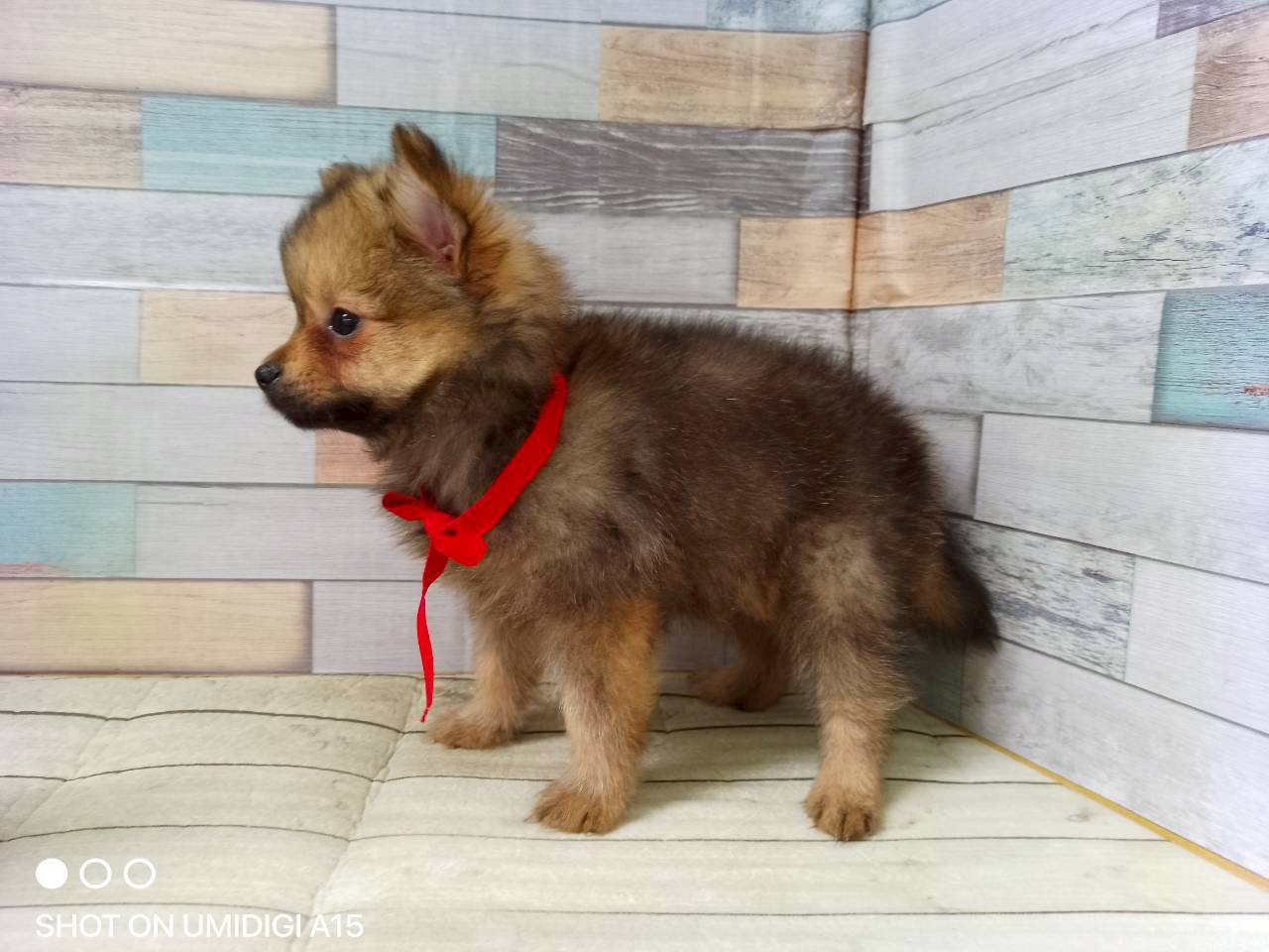 赤ちゃん写真3-2