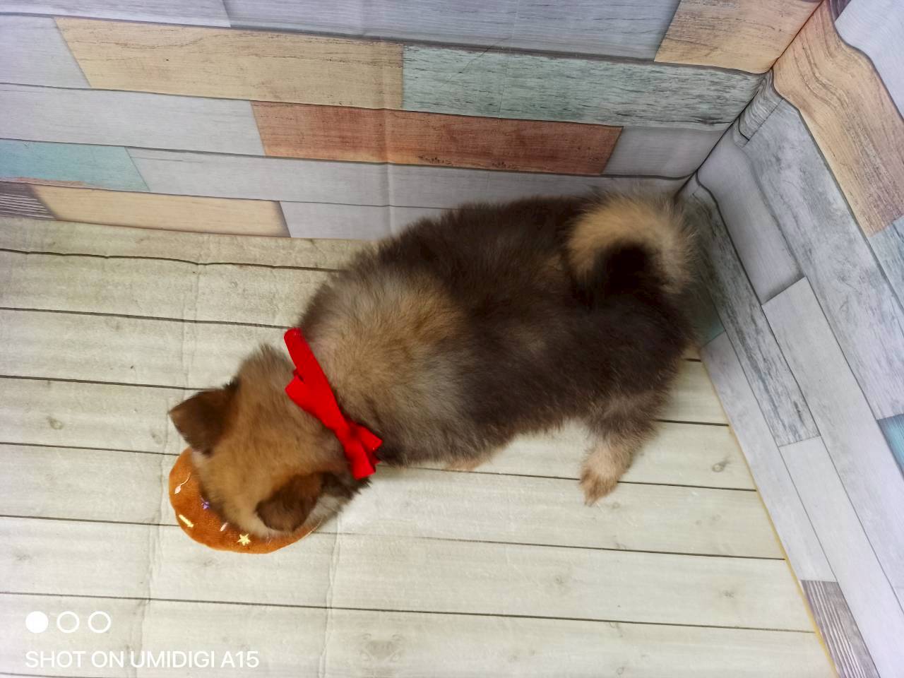 赤ちゃん写真3-3