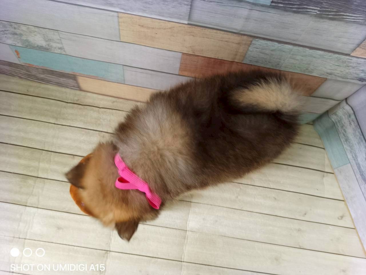 赤ちゃん写真3-3