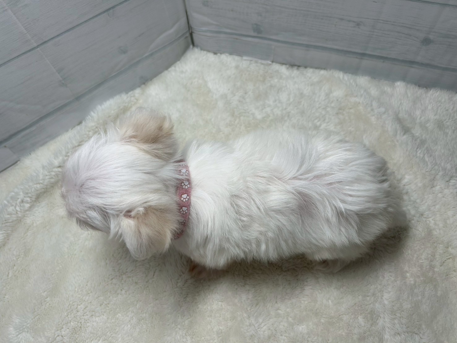 赤ちゃん写真3-3