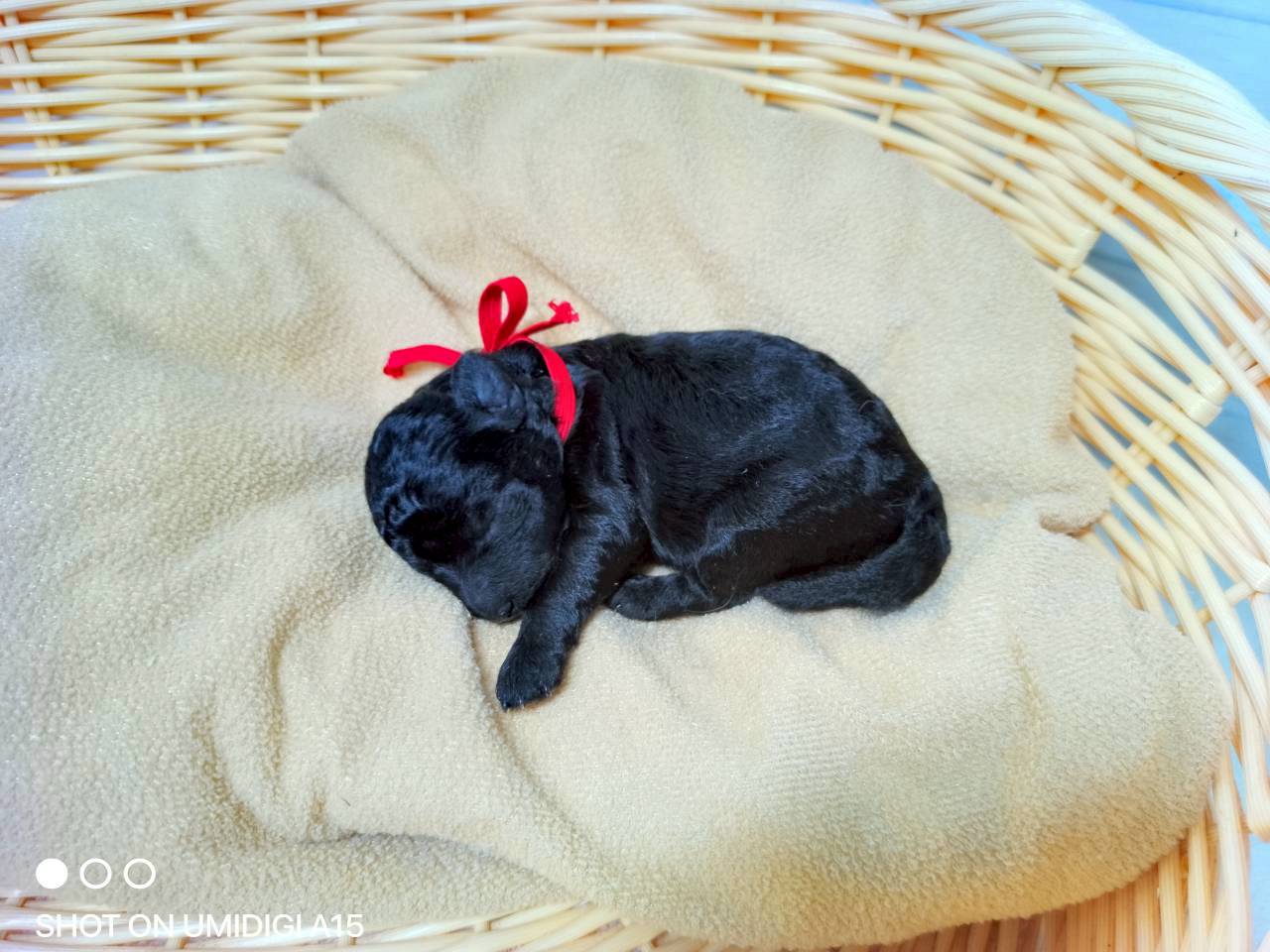 赤ちゃん写真1-2