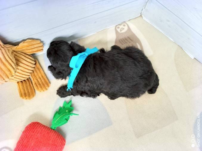 赤ちゃん写真2-3