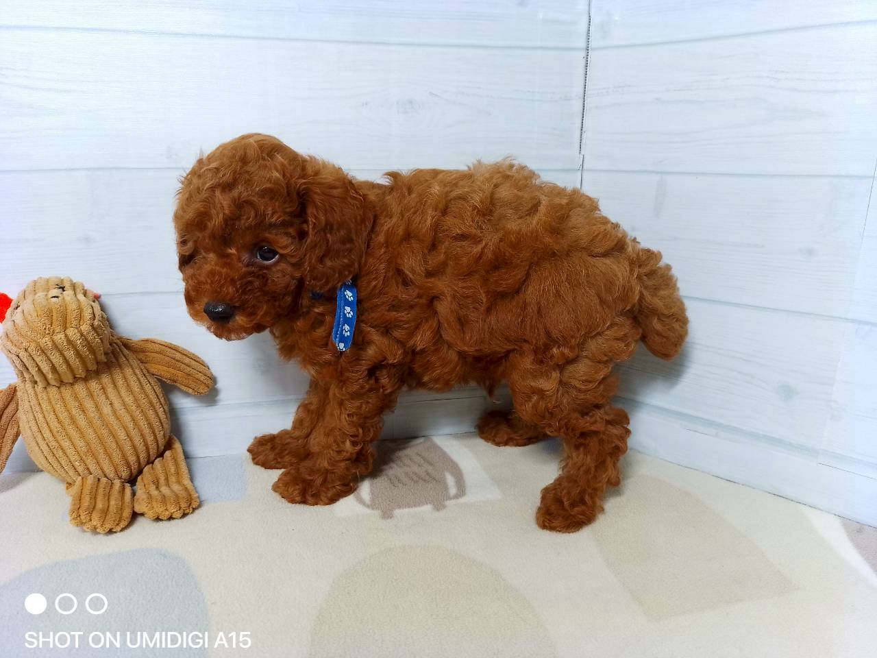 赤ちゃん写真3-2