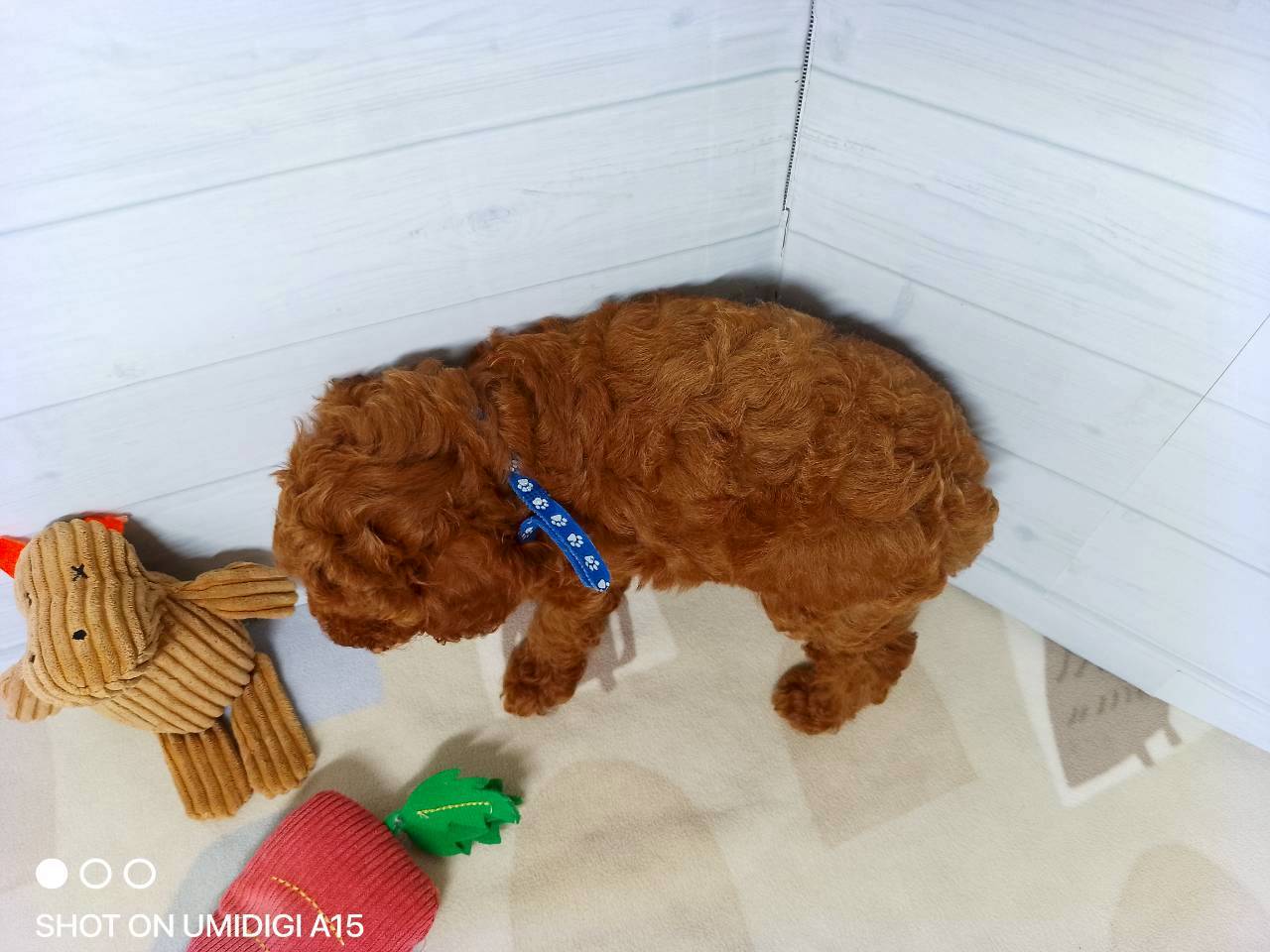 赤ちゃん写真3-3