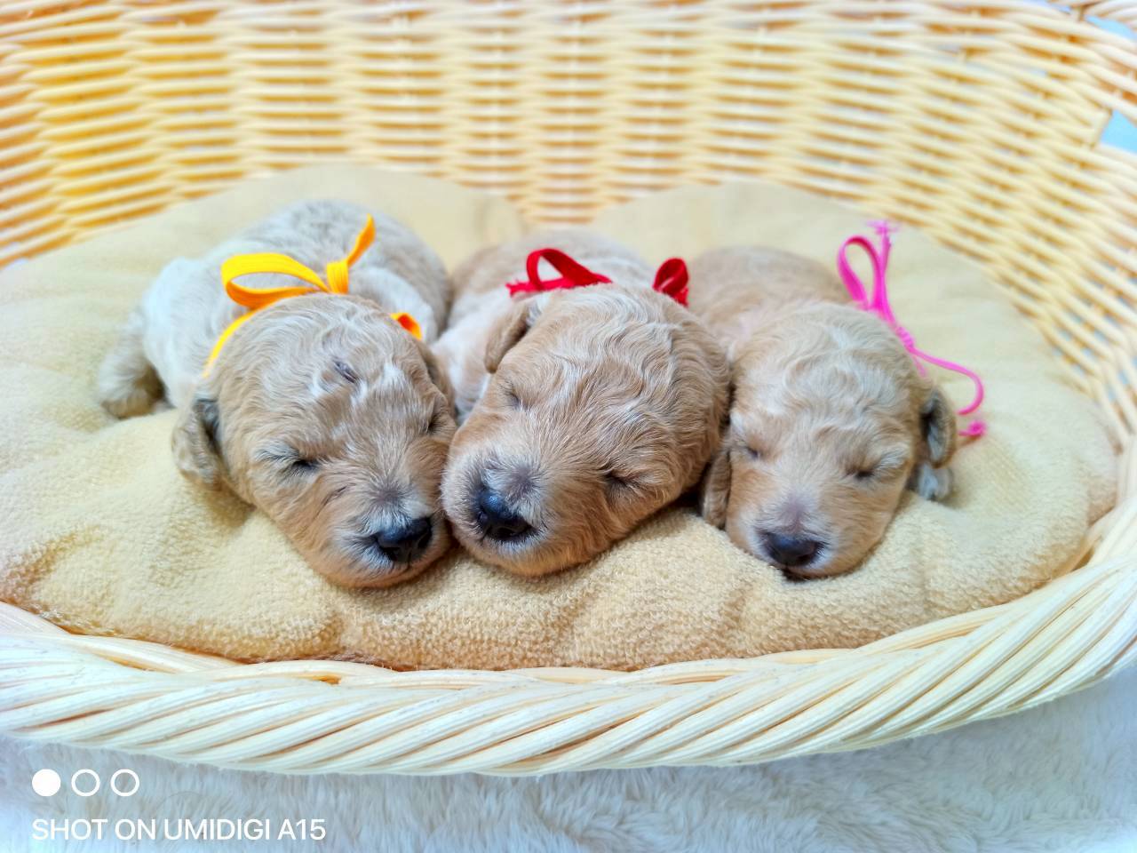 赤ちゃん写真1-3