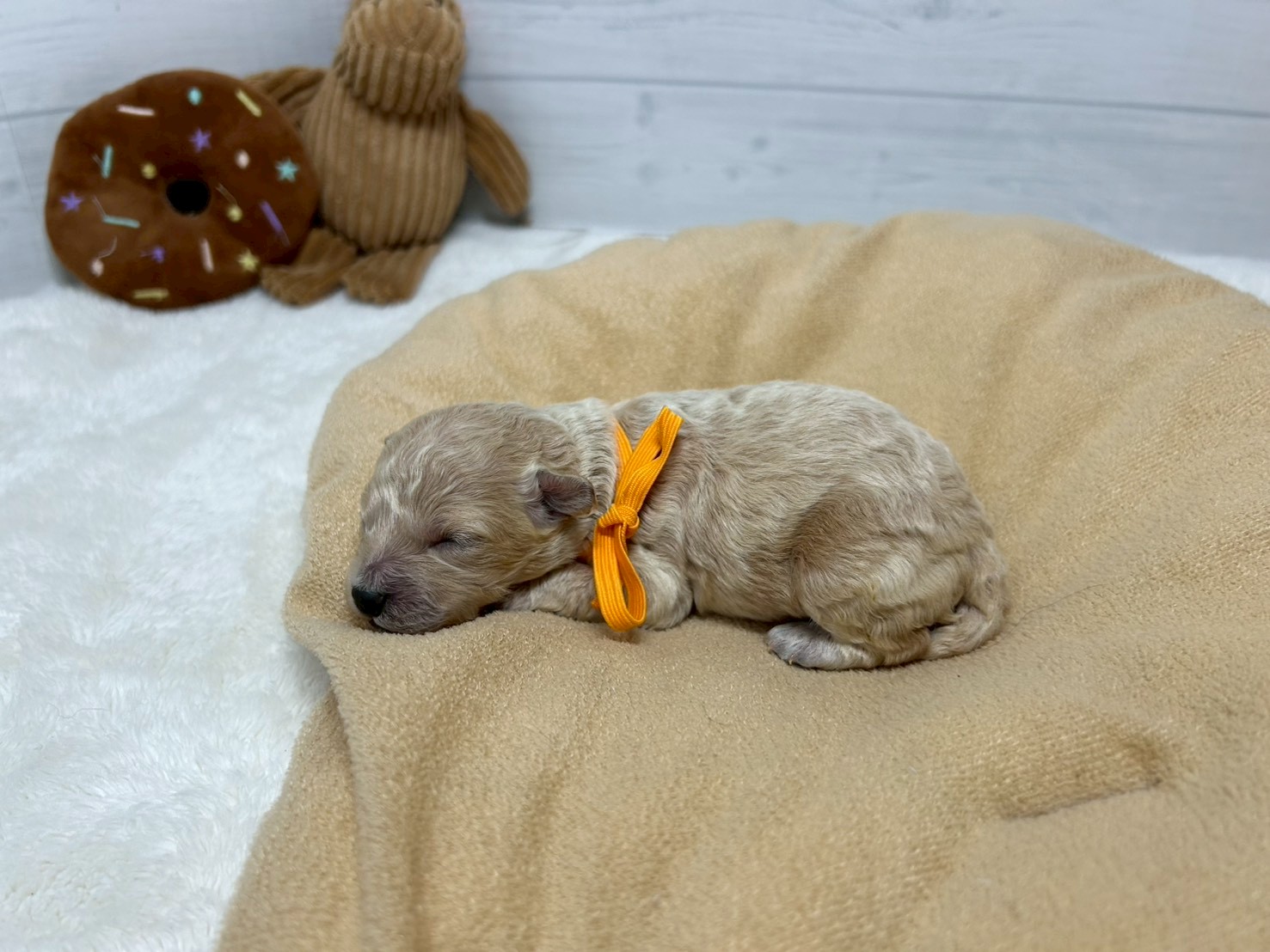 赤ちゃん写真1-2