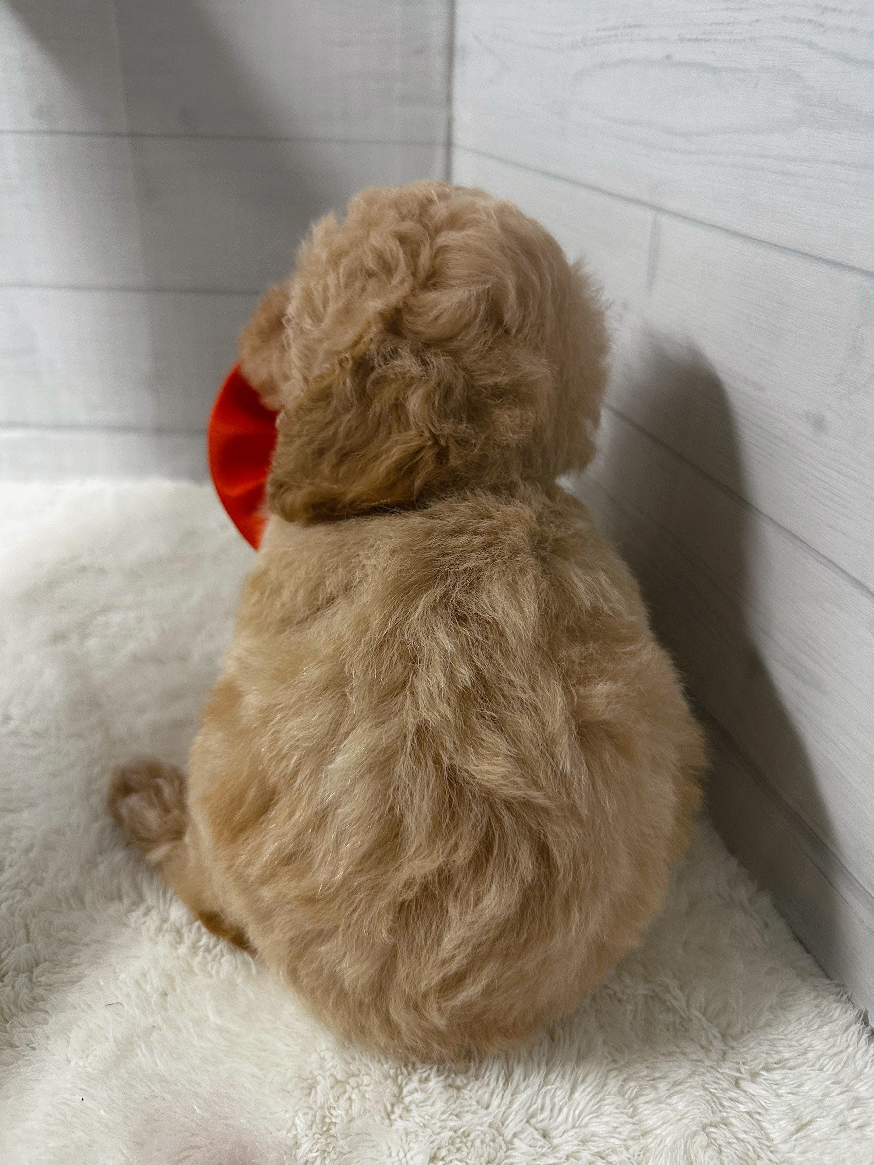 赤ちゃん写真3-3