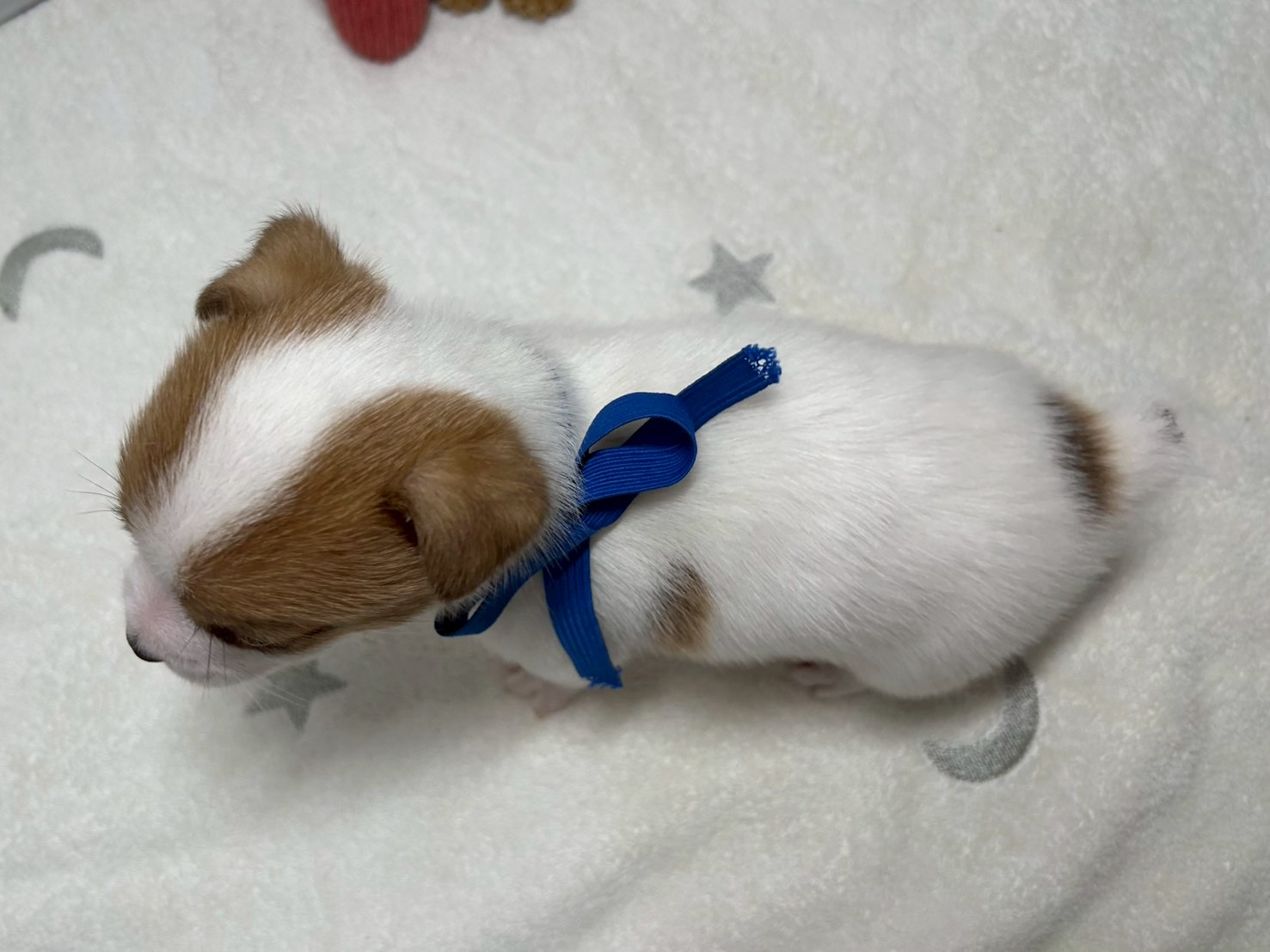 赤ちゃん写真2-3