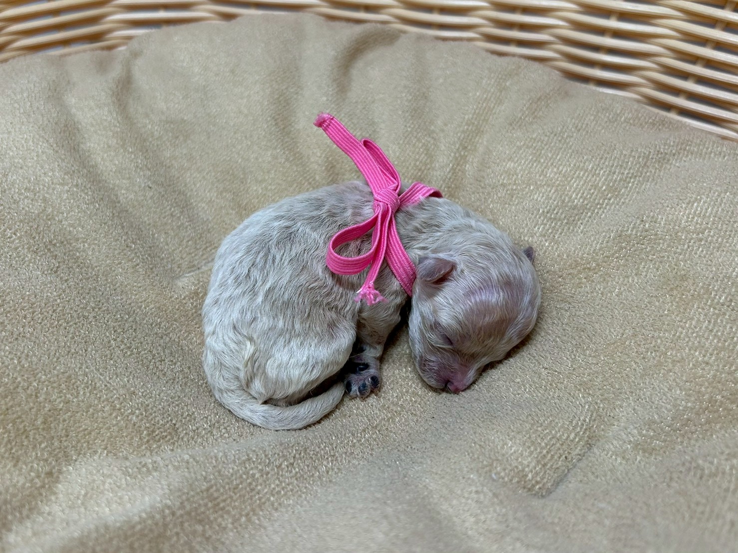 赤ちゃん写真1-2