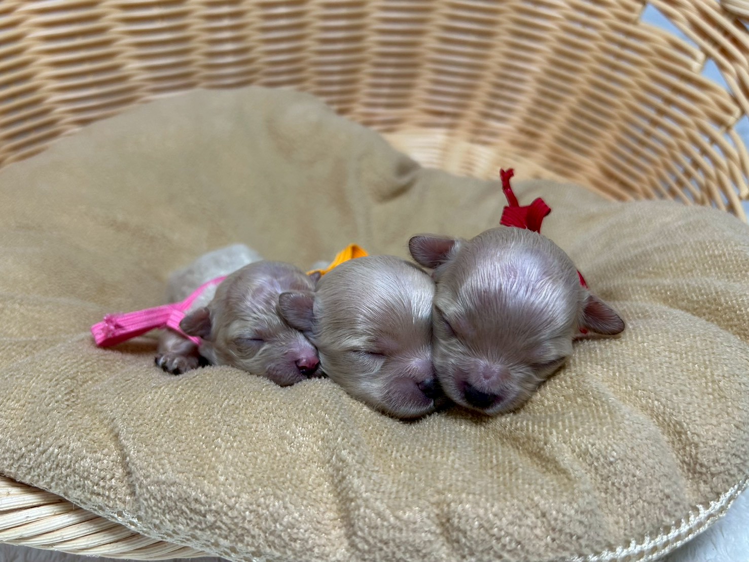 赤ちゃん写真1-3