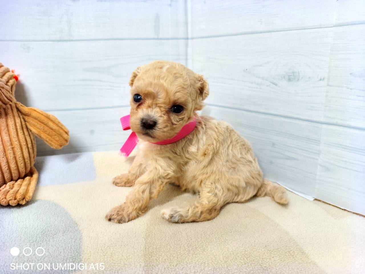 赤ちゃん写真2-2