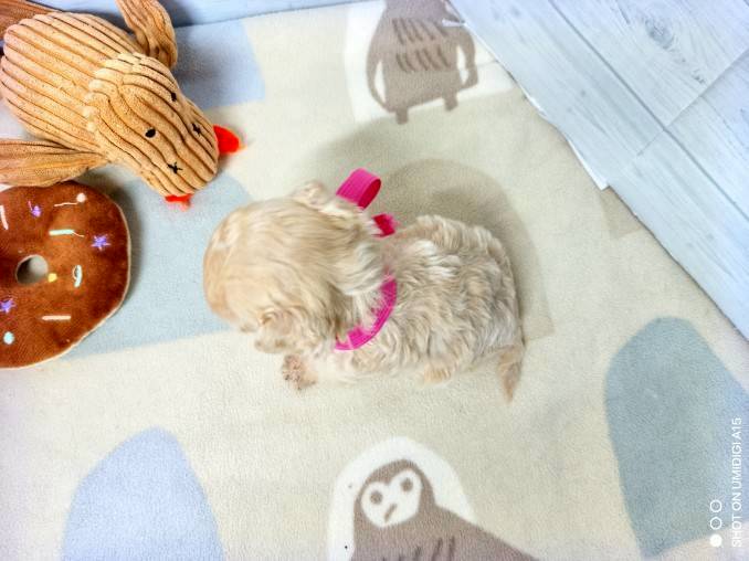 赤ちゃん写真2-3