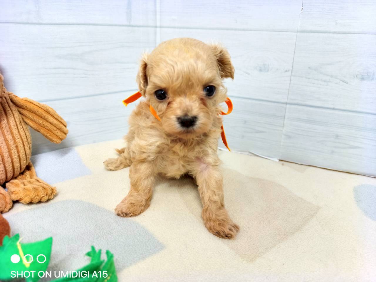 赤ちゃん写真2-1