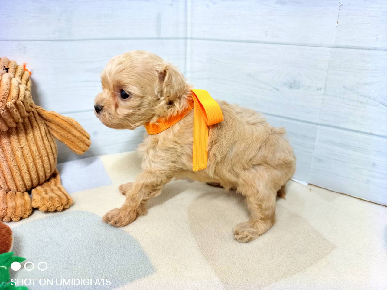 赤ちゃん写真2-2