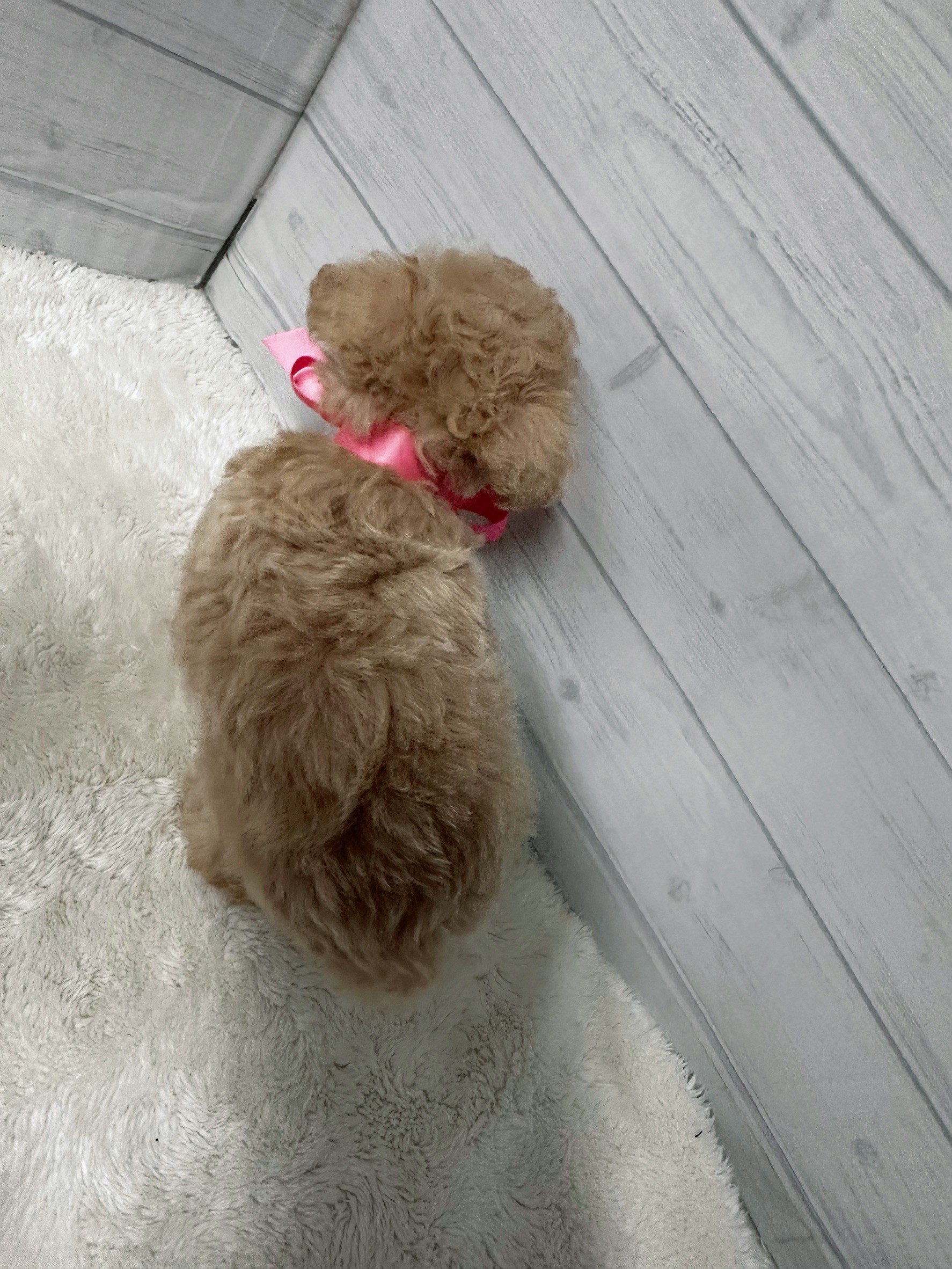 赤ちゃん写真3-3