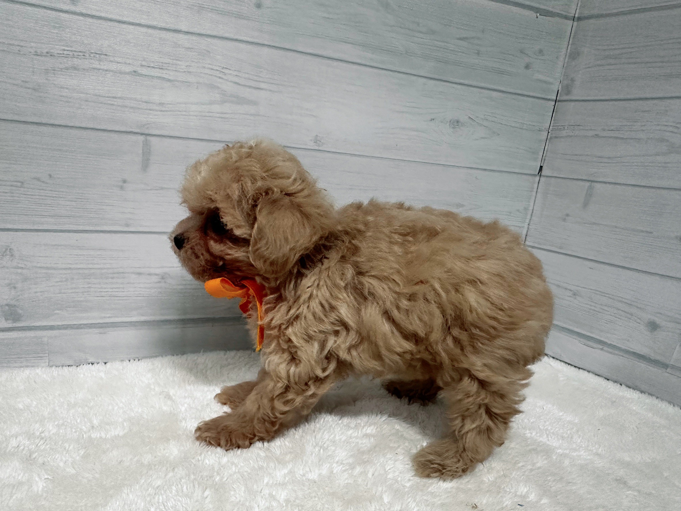 赤ちゃん写真3-2